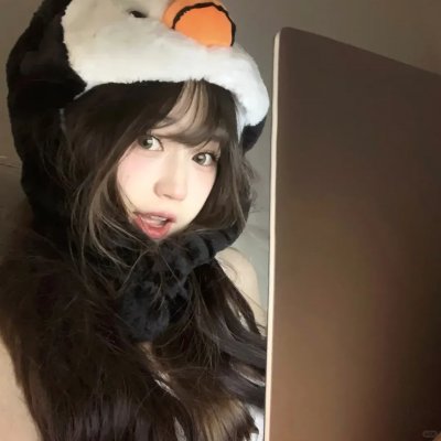 胡同猫
